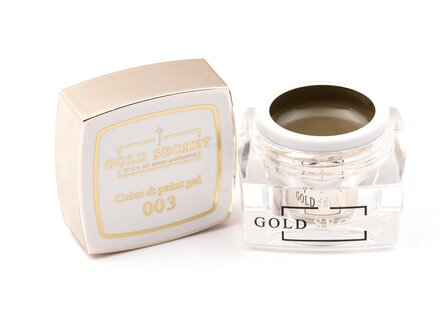 gold secret color&amp;paint 003