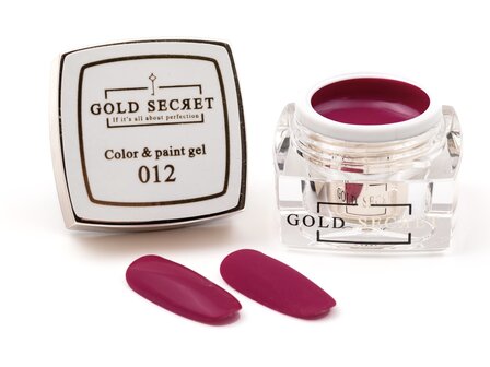 gold secret color&amp;paint gel 012